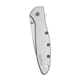 Kershaw Leek Serrated (1660ST) Pocket Knife, 3” Partially Serrated 14C28N Steel Blade, 410 Stainless Steel Handle, Bead-Blasted Finish, SpeedSafe Open, Liner and Tip Lock, Reversible Pocketclip; 3 OZ