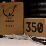 Adidas Yeezy 350 V1 "Turtle Dove" 3D Mini Sneaker Keychain with Box and Bag